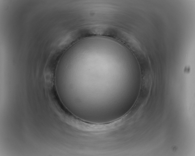 X0000096960031200802081240