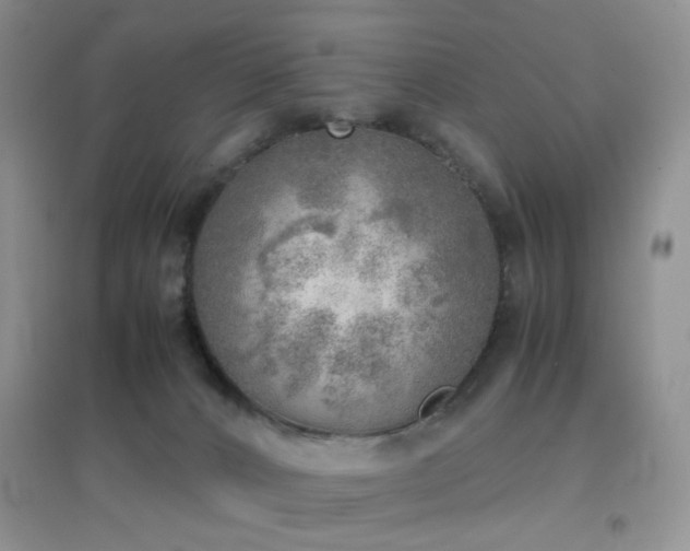 X0000096960032200802081240