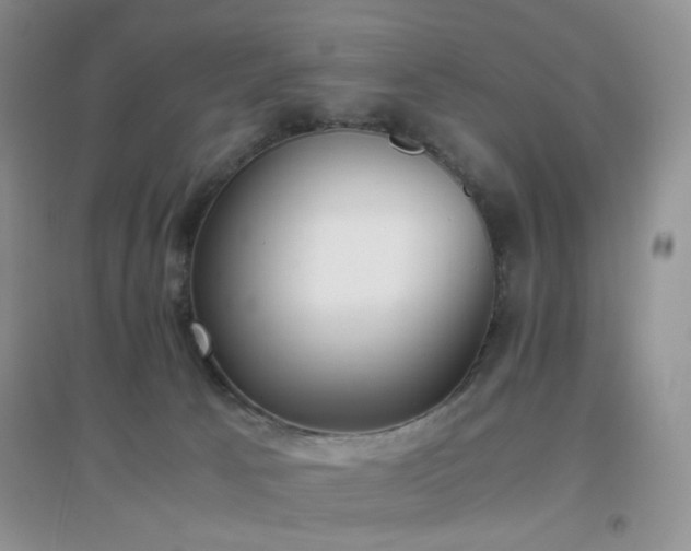 X0000096960033200802081240