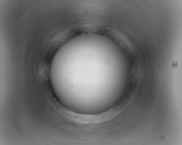 X0000096960034200802081240