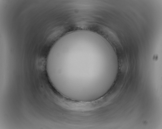 X0000096960036200802081240