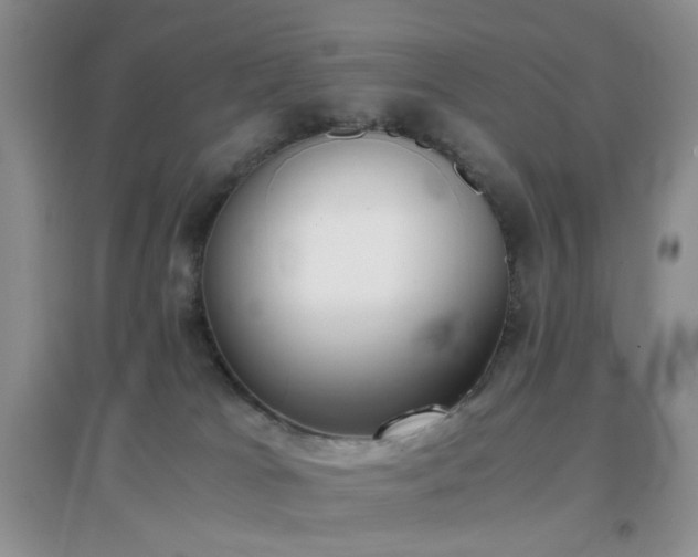 X0000096960037200802081240