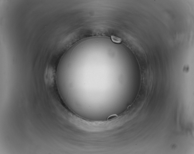 X0000096960038200802081240