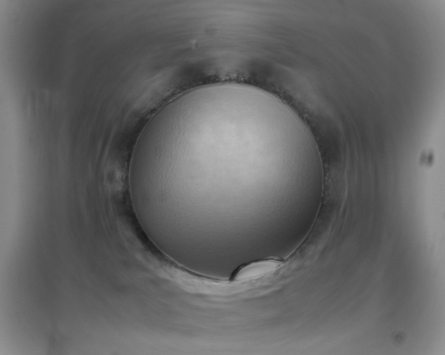 X0000096960039200802081240