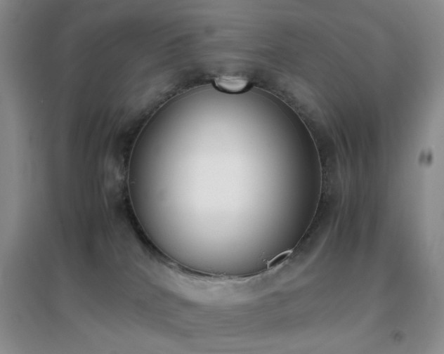 X0000096960040200802081240