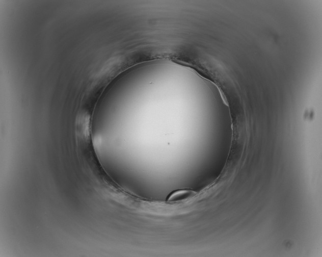 X0000096960041200802081240