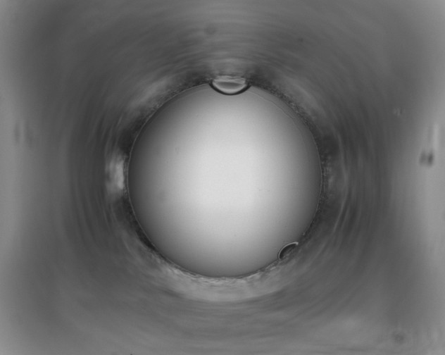 X0000096960042200802081240