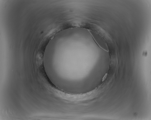 X0000096960043200802081240