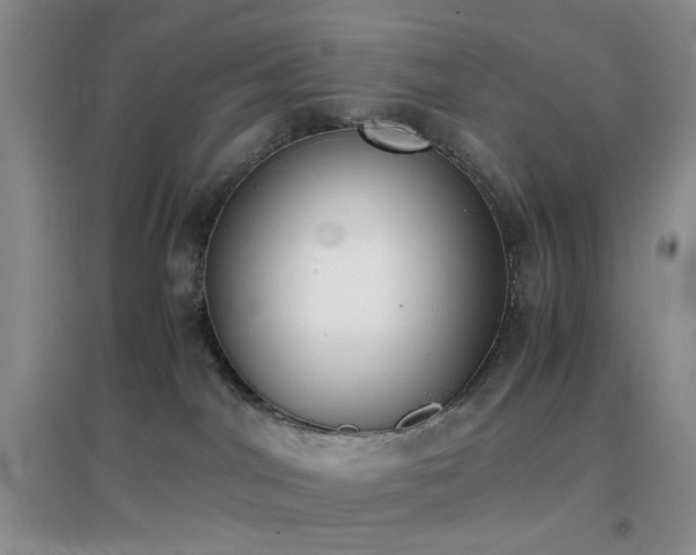 X0000096960044200802081240