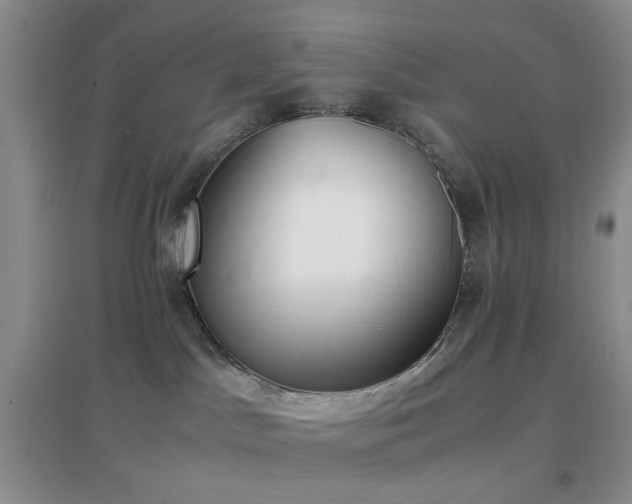 X0000096960045200802081240