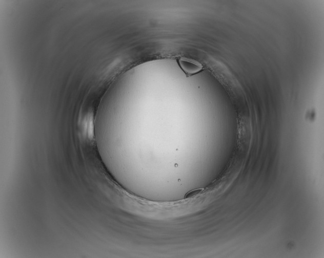 X0000096960046200802081240