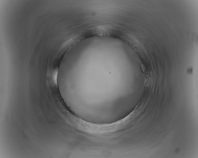 X0000096960047200802081240