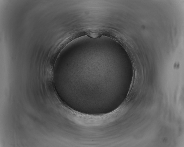 X0000096960048200802081240