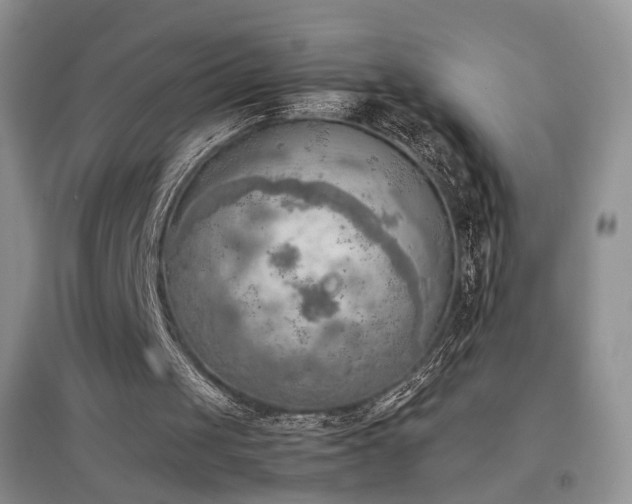 X0000096960049200802081239