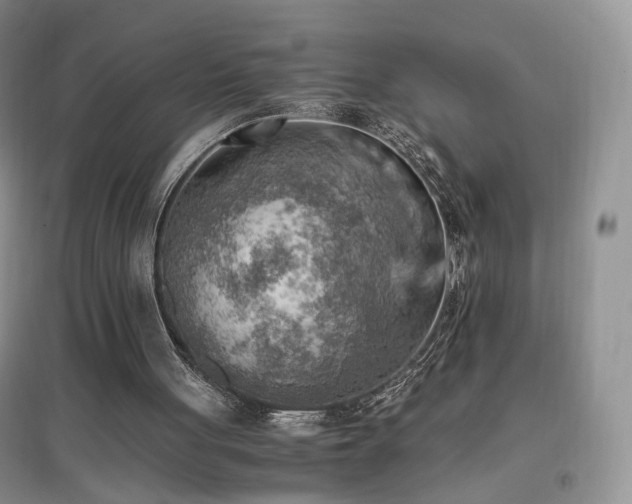 X0000096960051200802081239