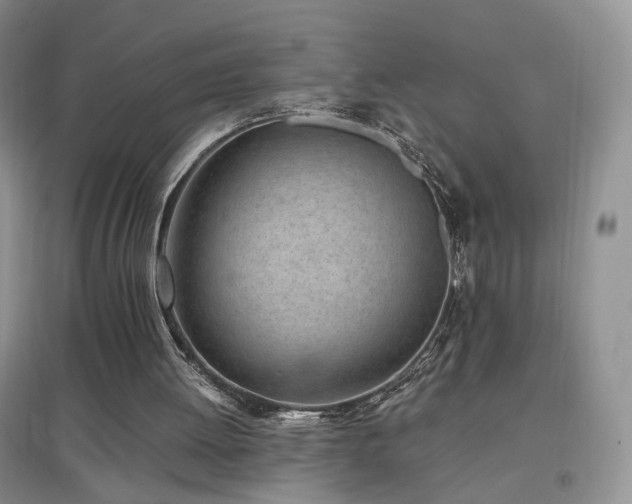 X0000096960052200802081239