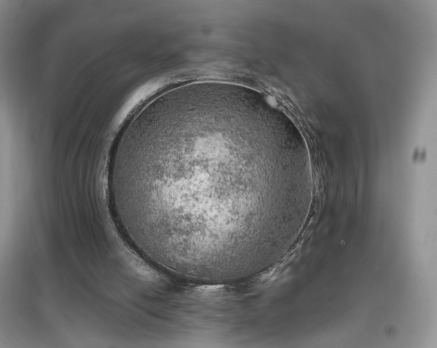 X0000096960054200802081239