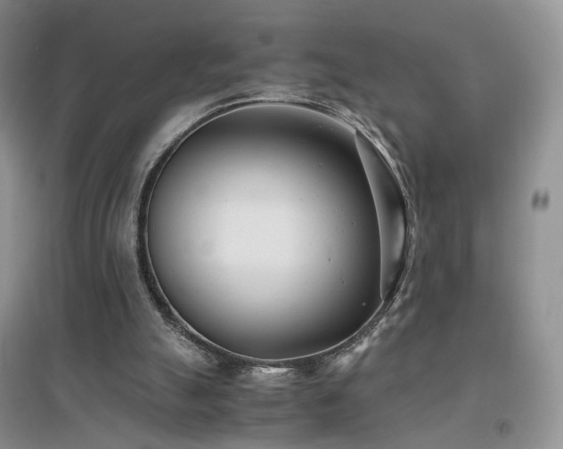 X0000096960055200802081239