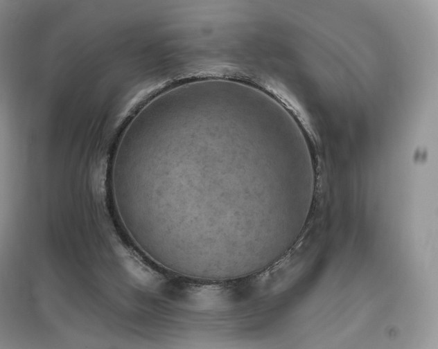 X0000096960058200802081239