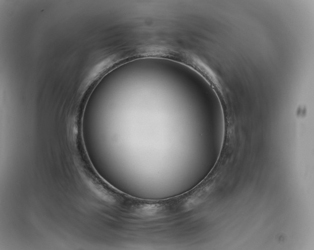 X0000096960059200802081239