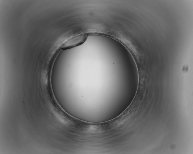 X0000096960060200802081239