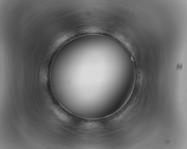 X0000096960063200802081239