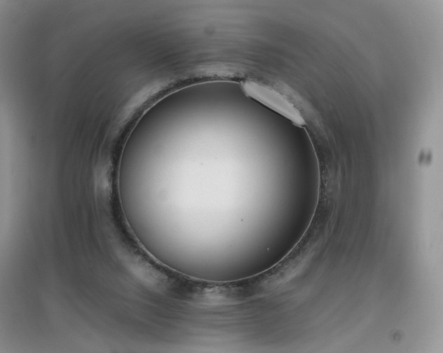 X0000096960064200802081239