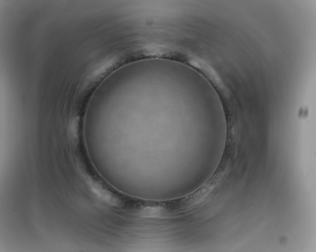 X0000096960066200802081239