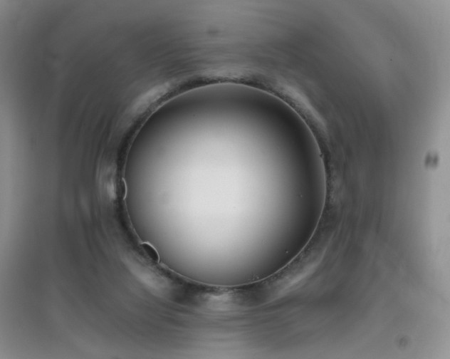 X0000096960068200802081239