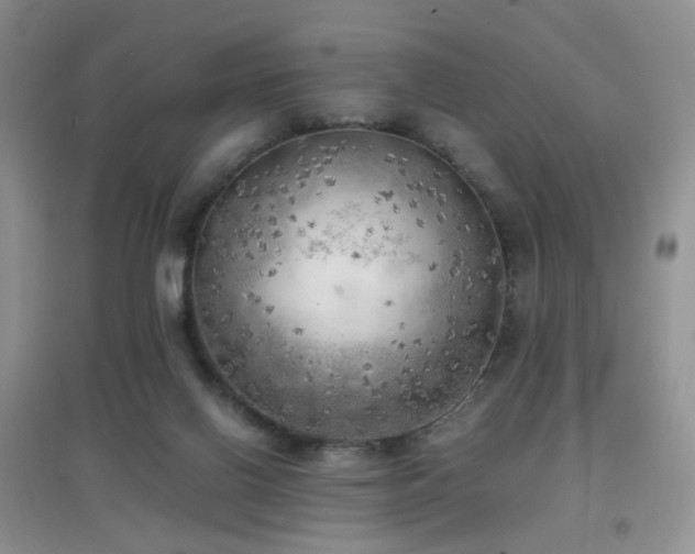 X0000096960070200802081239