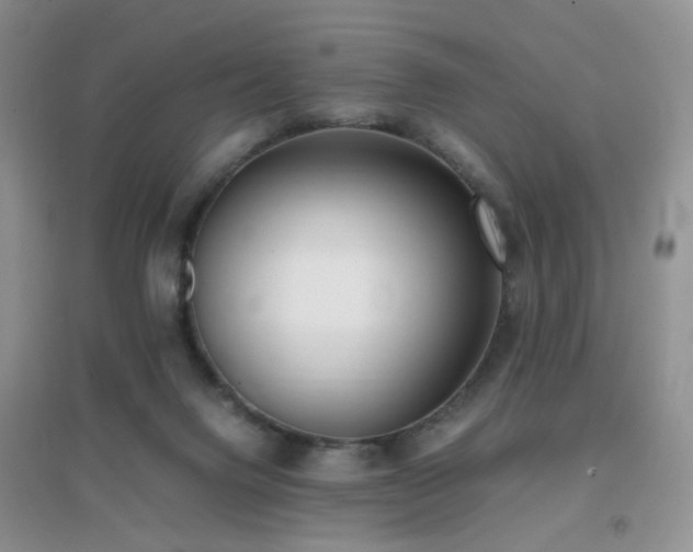 X0000096960072200802081239