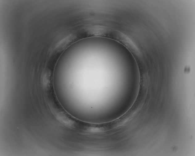 X0000096960073200802081239