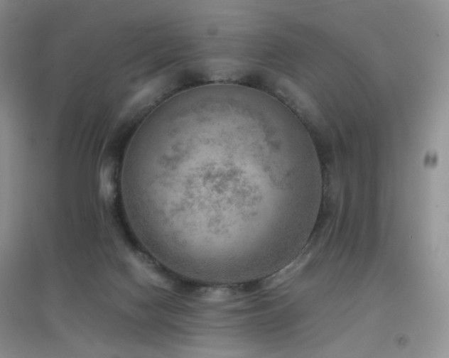 X0000096960074200802081239