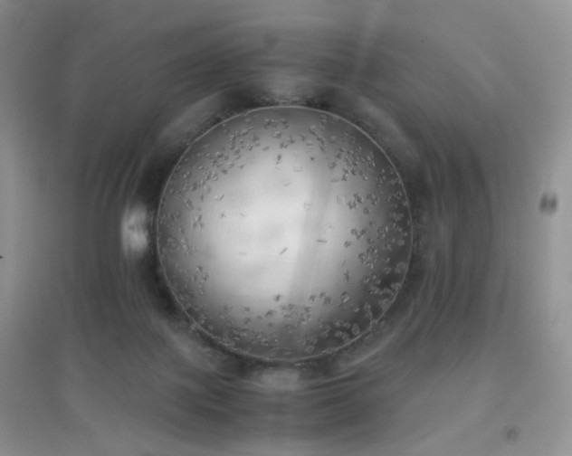 X0000096960075200802081239