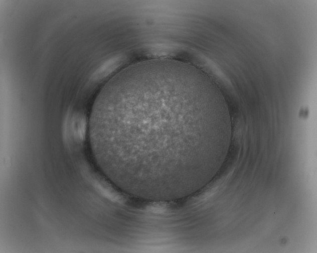 X0000096960076200802081239