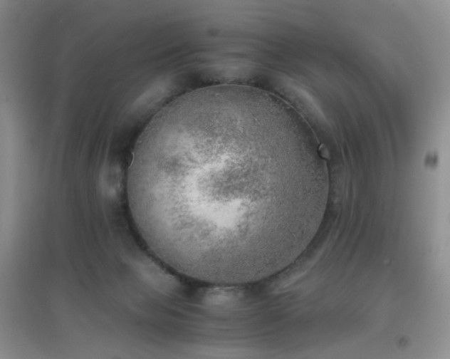 X0000096960077200802081239