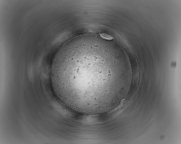 X0000096960078200802081239