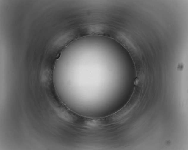 X0000096960079200802081239