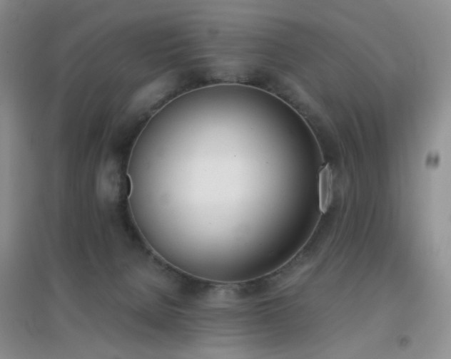 X0000096960080200802081239