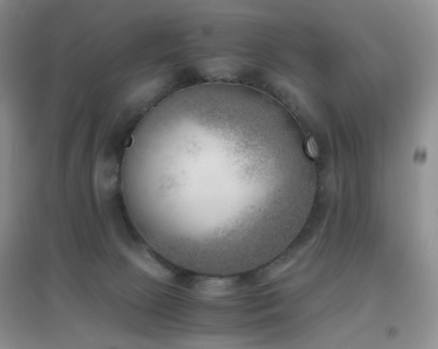 X0000096960081200802081239