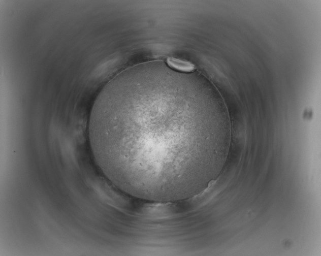 X0000096960082200802081239