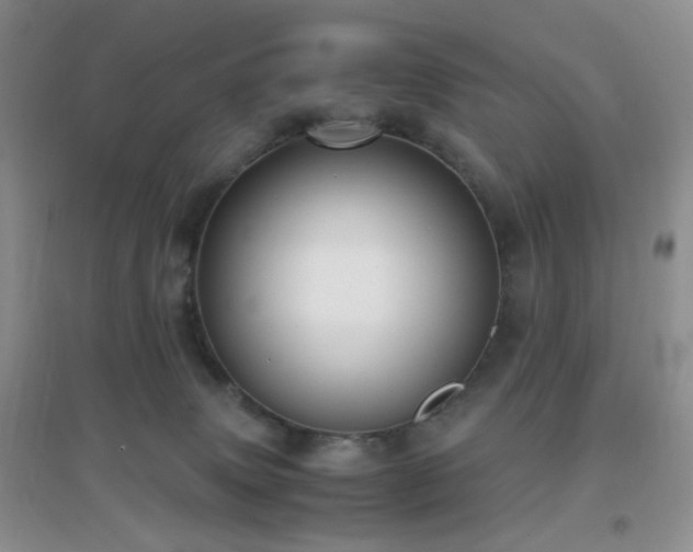 X0000096960083200802081239