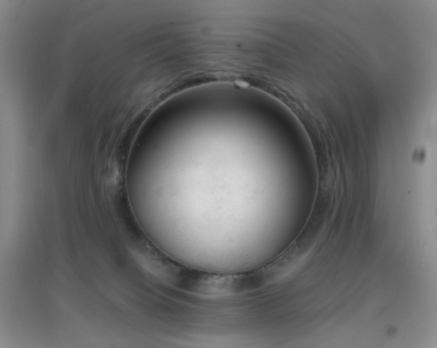 X0000096960084200802081239