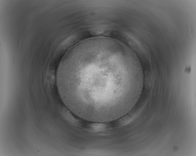 X0000096960085200802081239