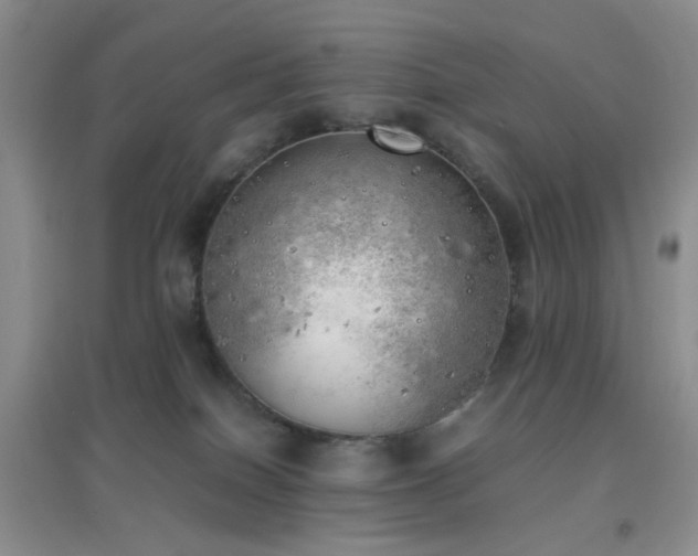 X0000096960086200802081239