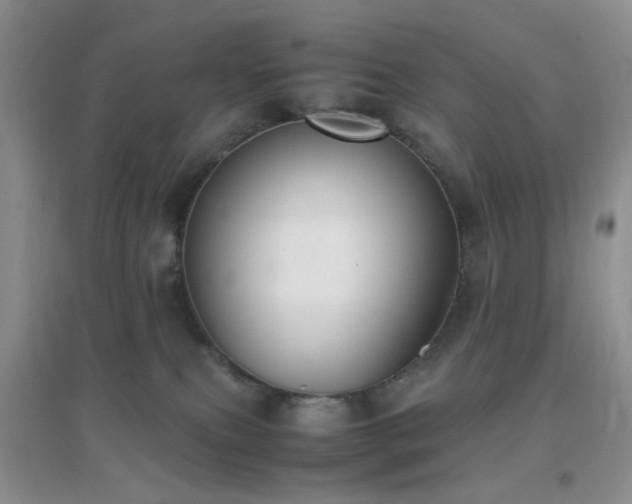 X0000096960087200802081239