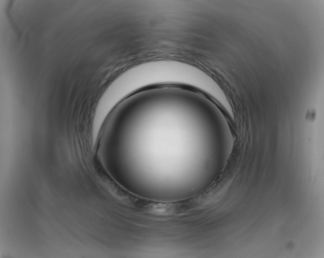 X0000096960088200802081239