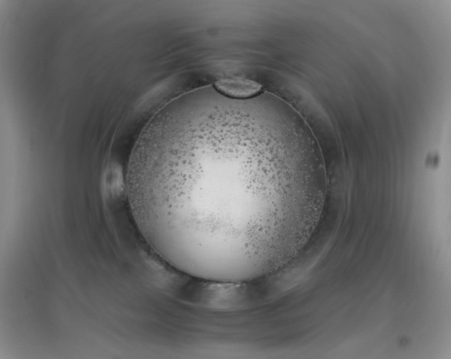 X0000096960089200802081239