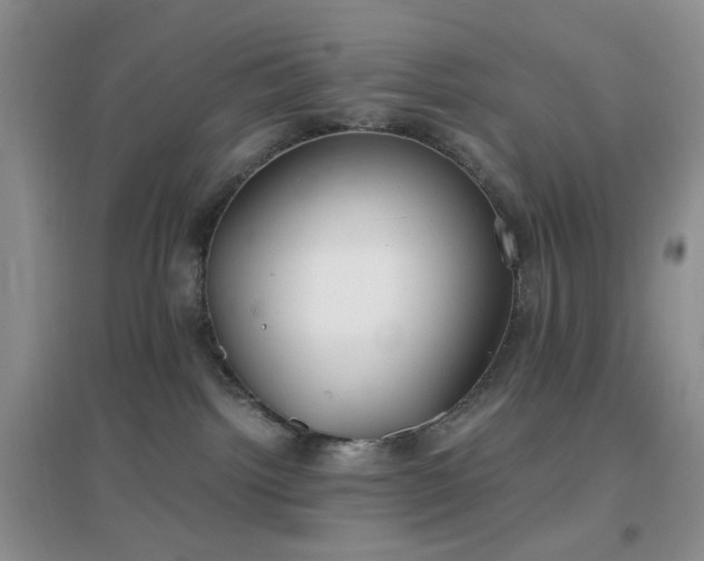 X0000096960092200802081239