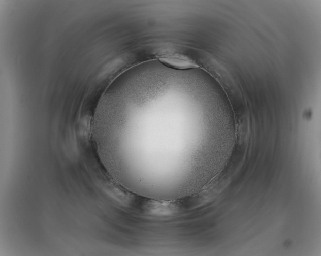 X0000096960093200802081239